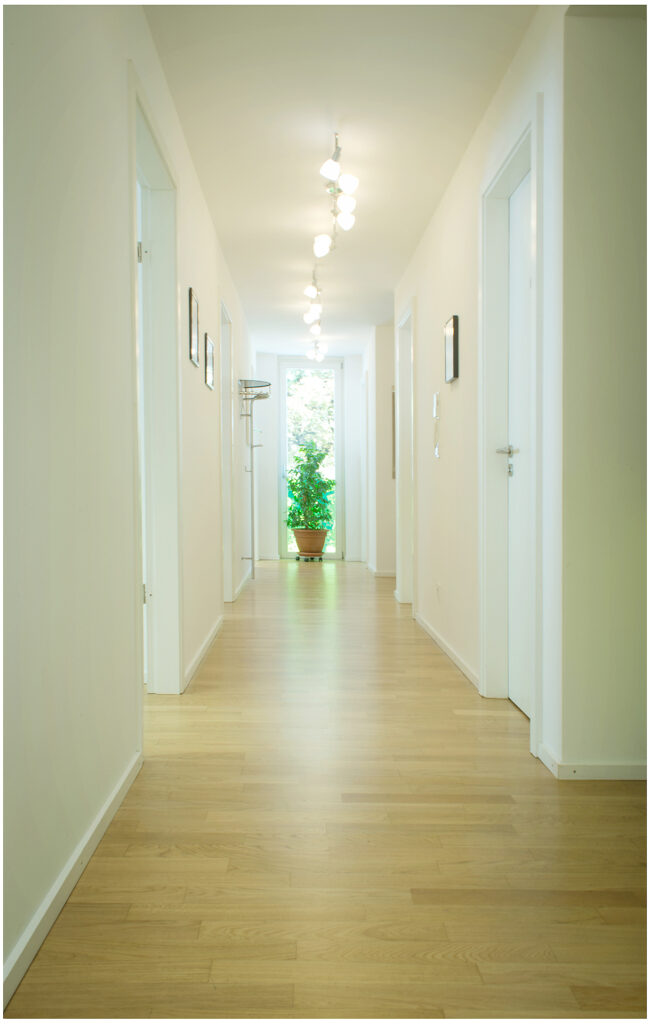 Langer, heller Büroflur mit Türen und Pflanze am Fensterende, Räumlichkeiten Fotografie für die Firma in München